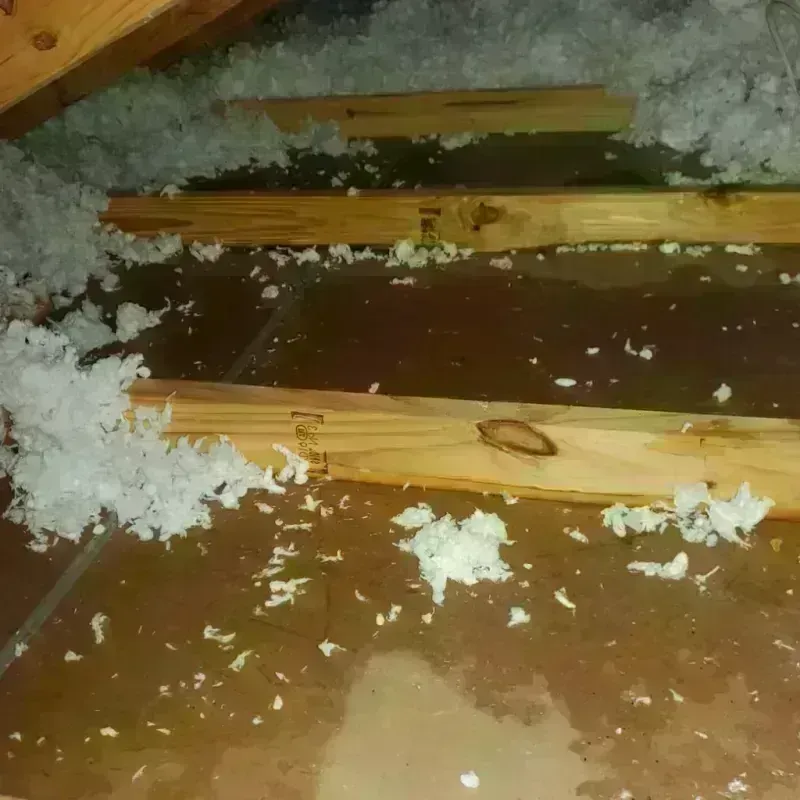 Attic Water Damage in Union, OR