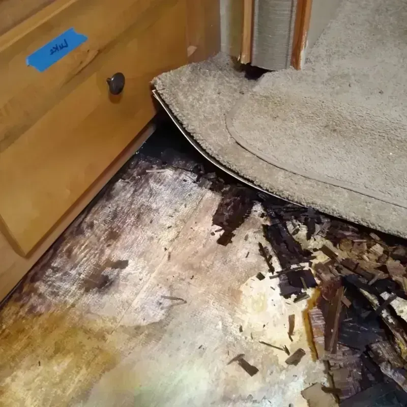 Wood Floor Water Damage in Union, OR